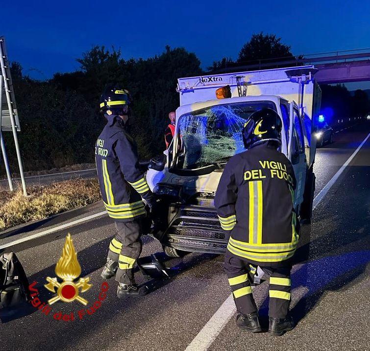 Camion Dei Rifiuti Si Scontra Con Una Mucca Sulla Chiaramonti-Tempio ...